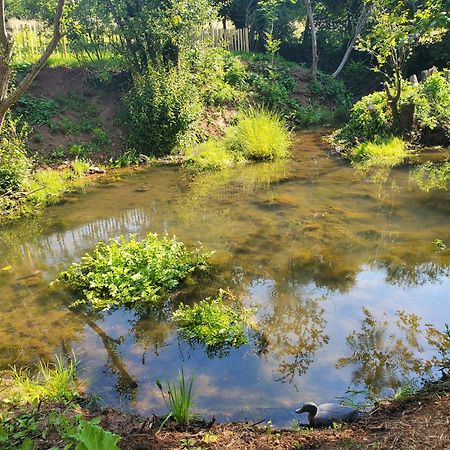 Le Clos Des Sources Isigny-sur-Mer Luaran gambar