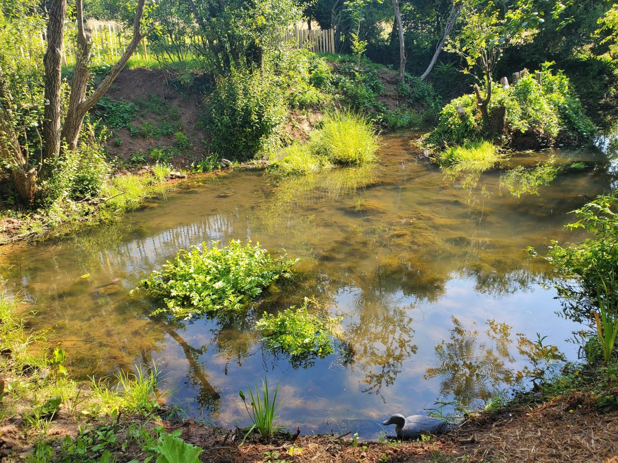 Le Clos Des Sources Isigny-sur-Mer Luaran gambar